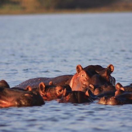 Lake Naivasha Simba Lodge Ναϊρόμπι Εξωτερικό φωτογραφία
