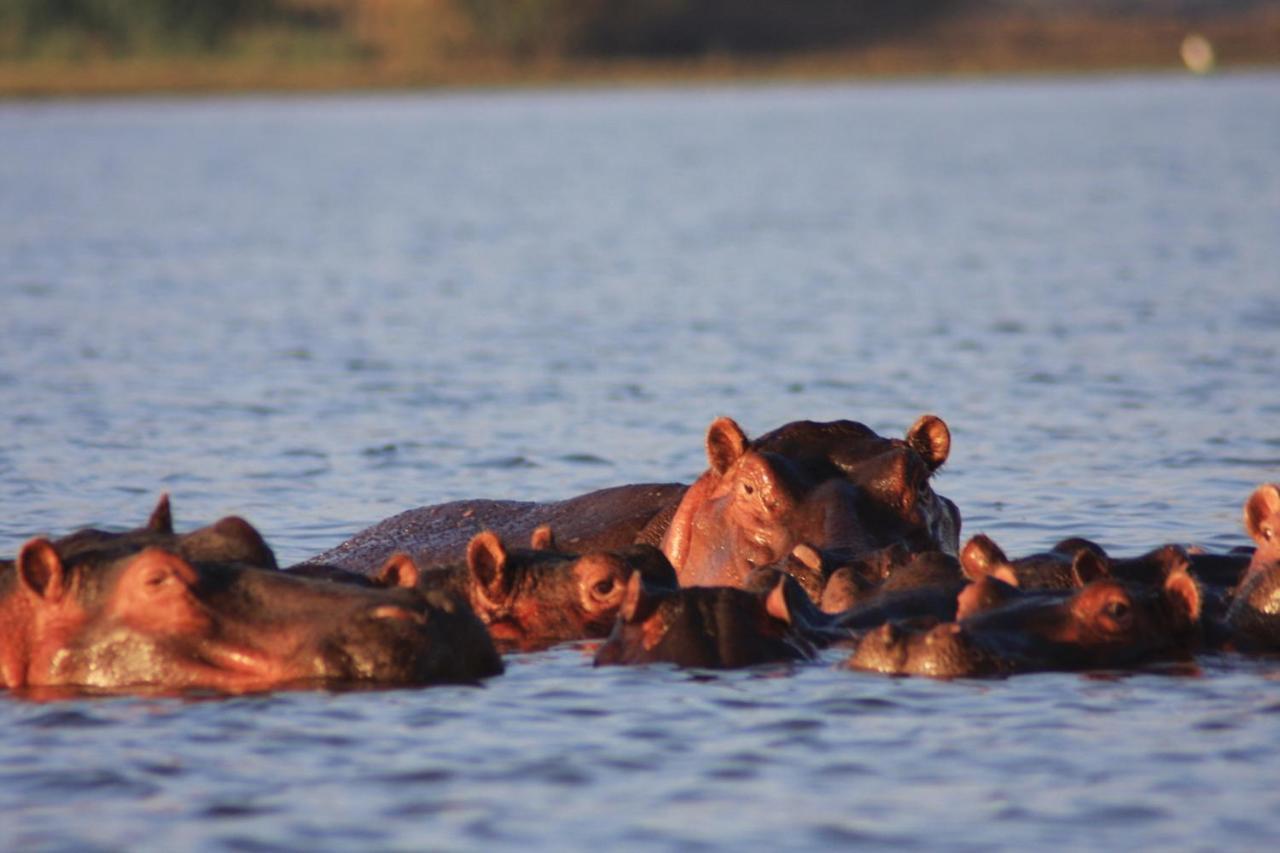 Lake Naivasha Simba Lodge Ναϊρόμπι Εξωτερικό φωτογραφία